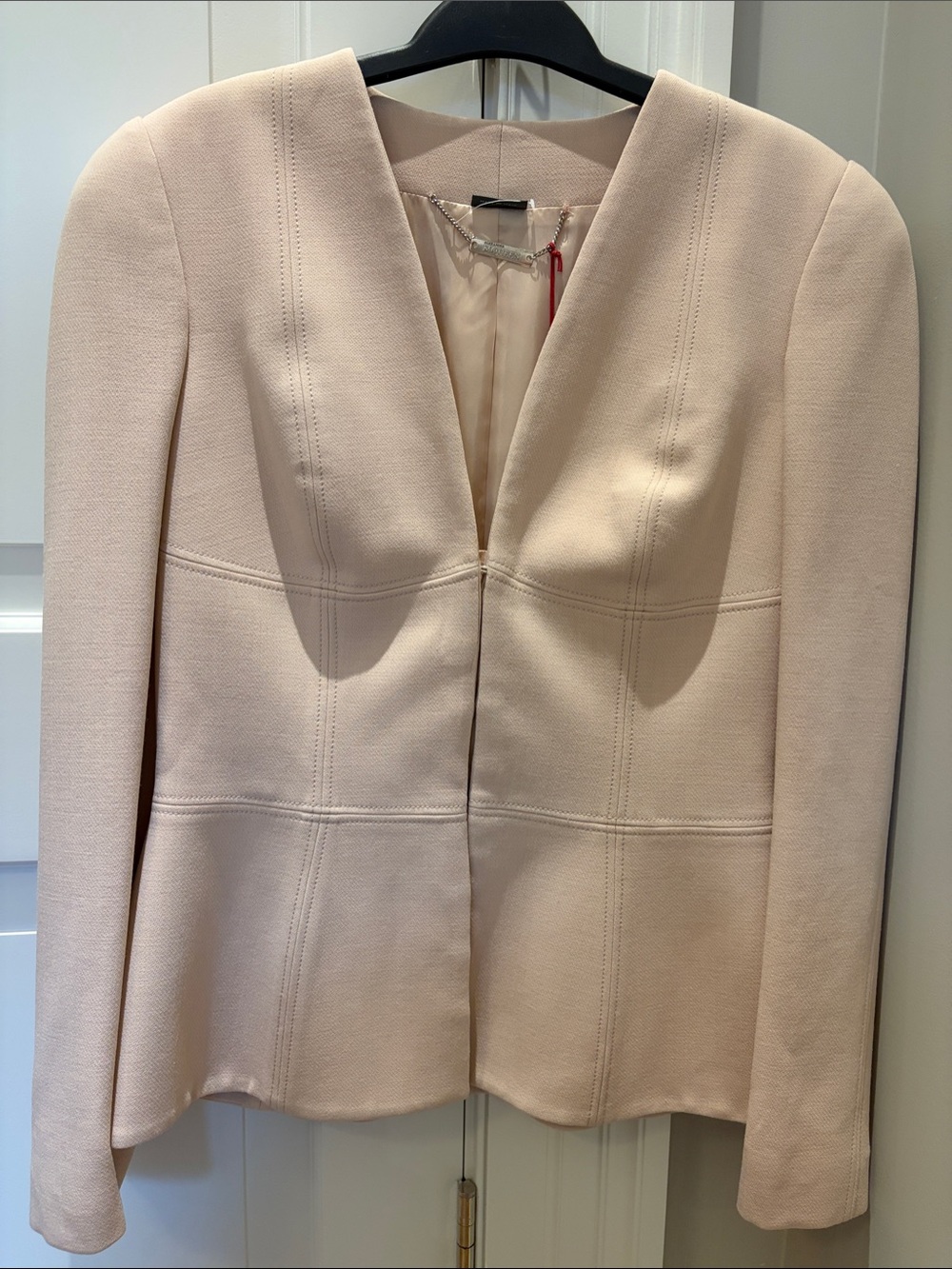 Alexander McQueen Blush Structured V-Neck Blazer
